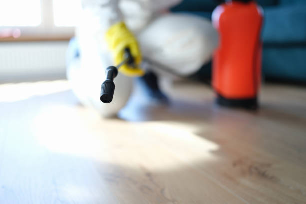 Best Emergency Mold Remediation  in Cold Spring, NY