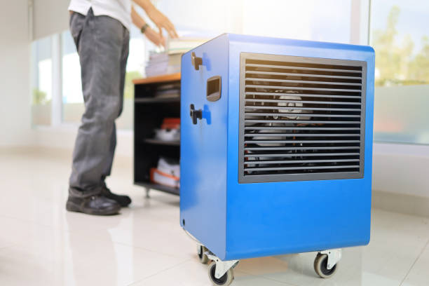 Best Biohazard Mold Removal  in Cold Spring, NY