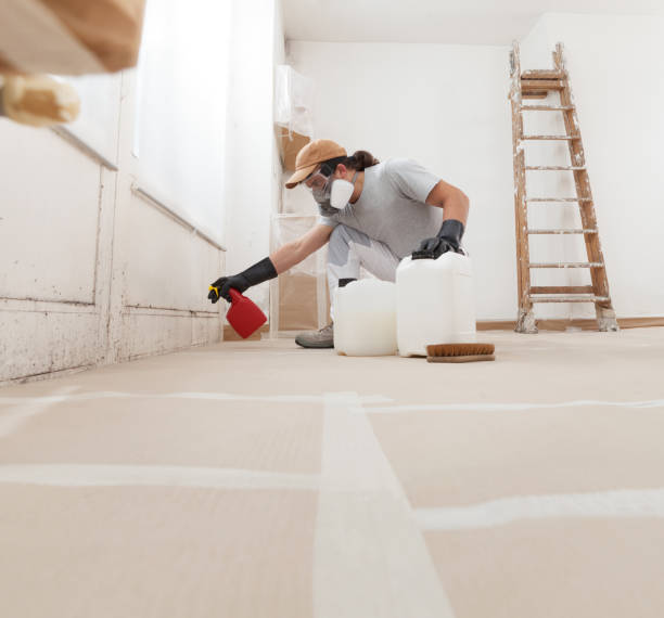 Best Attic Mold Removal  in Cold Spring, NY